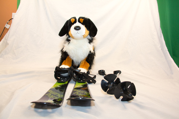 Collection - Dog Skis-7