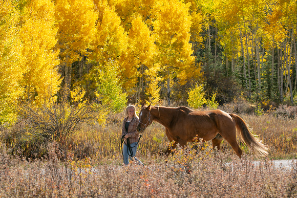 Fall-Horses-Fire_Rebecca-Ashography-0402
